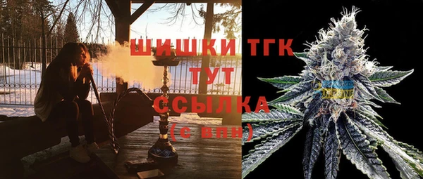 ECSTASY Надым