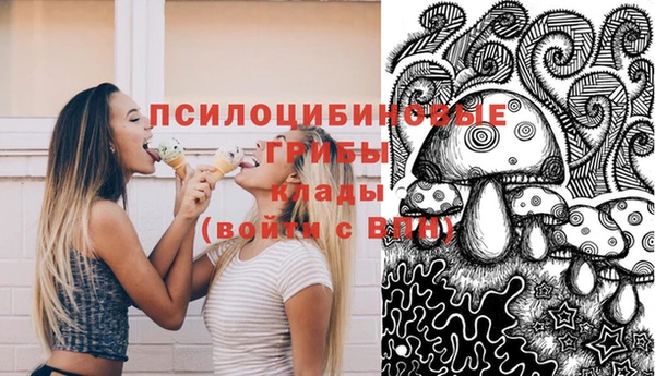 гашик Наволоки