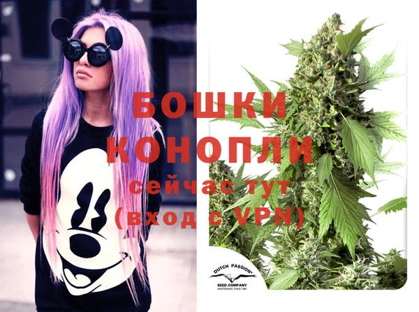 гашик Наволоки