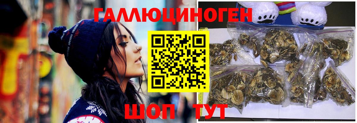 закладки  Вход с VPN  Батайск  Галлюциногенные грибы MAGIC MUSHROOMS  Псилоцибиновые грибы мицелий 